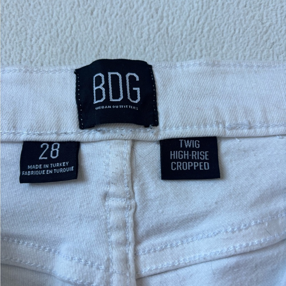 BDG - Picture 2 of 2
